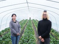 hiko farm