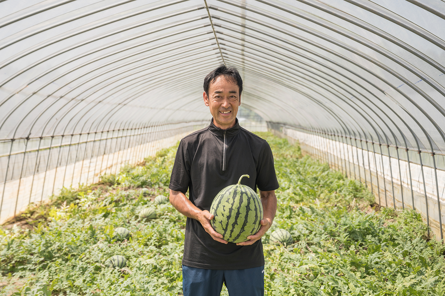 大場農園 ｜ 万農王国いばらき ｜ 茨城の農業を応援します。