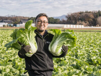 「うまさに全振り」な品種から生まれる「とろとろ」な白菜