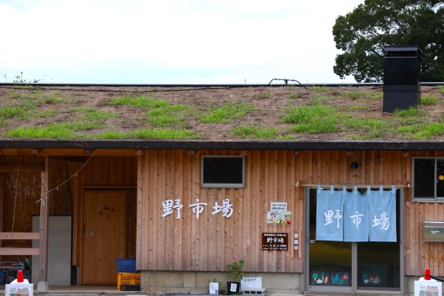 野市場 (86)