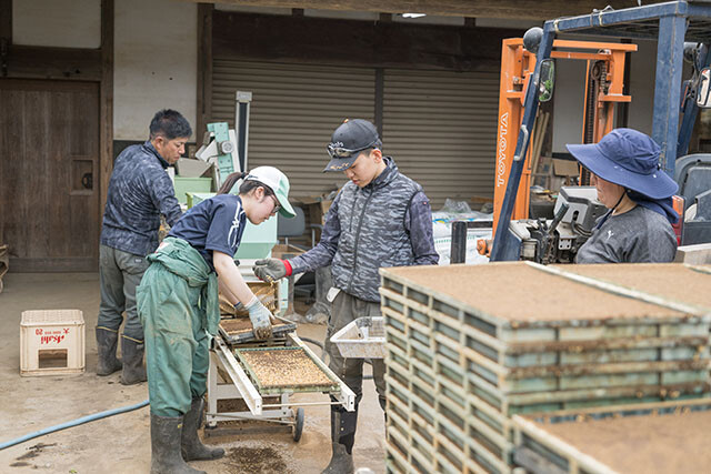 agrinakajima202505_8377s