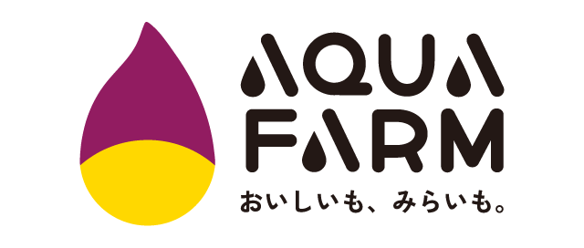 logo++