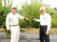 満を持して。水戸の梅「ふくゆい」