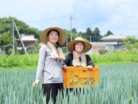 茨城県でIターン就農 目指すのは「女性だけで働く農園」